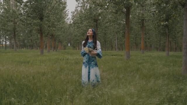 Diana Scridon - CERUL | Official Video