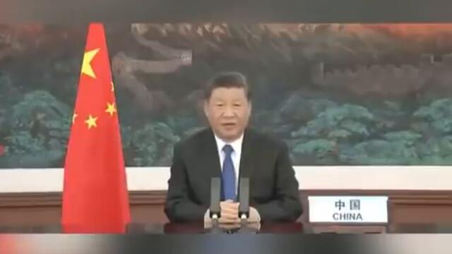 The President of China, Xi Jinping, blames Tesla for the Bitcoin crash