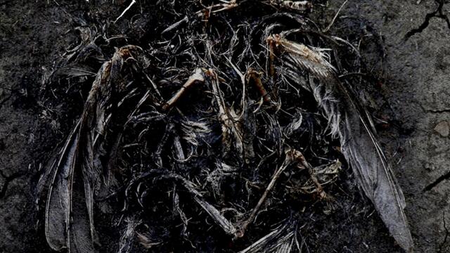 Doline Su Ostale Iza Nas