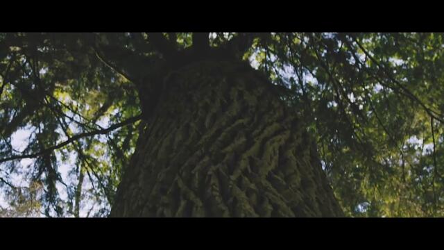 The Story of FB Hout   Full Movie   Russian Subtitles