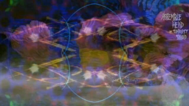 Assemble Head In Sunburst Sound ‎– The Slumbering Ones