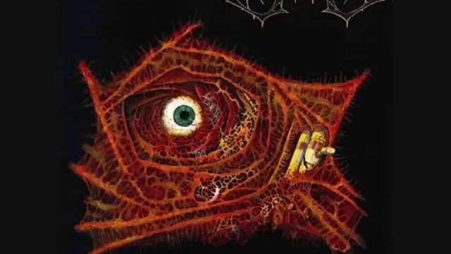 Electrocution - Premature Burial