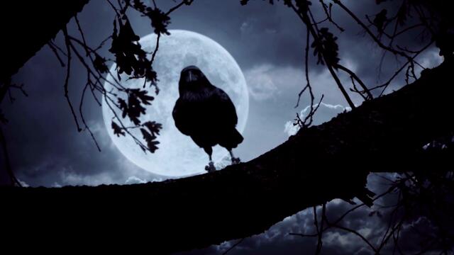 Fog ♦ By Dana Burnet ♦ Horror & Supernatural Fiction ♦ Full Audiobook