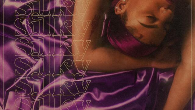 Nim - Silky (Official Audio)