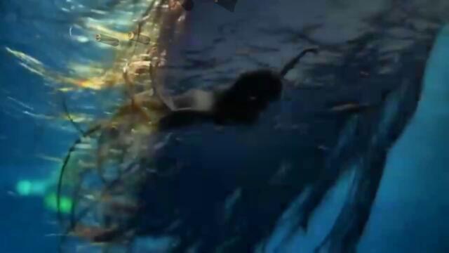 Κωστας Καραφωτης - Εγω δεν ζητησα πολλα - аз не исках много