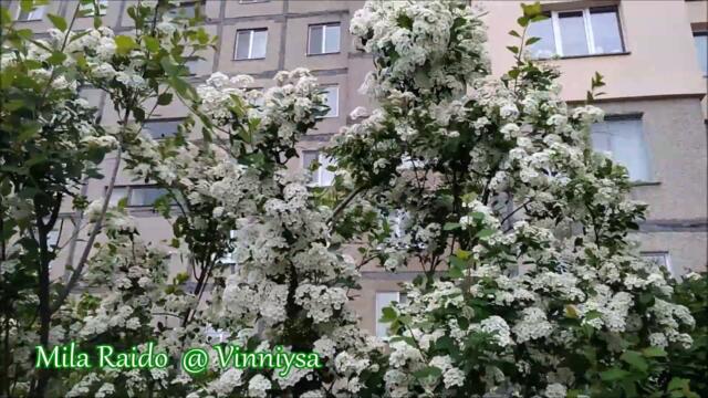 Доброе Утро! Band ODESSA Попурри Песен 60-х 🤠