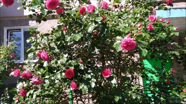 Фанатам Band ODESSA 👼 Избранные ПЕСНИ