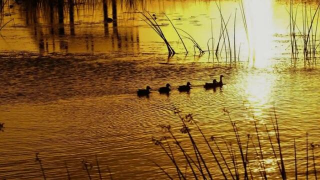 W.a.s.p. ~ Keep Holding On
