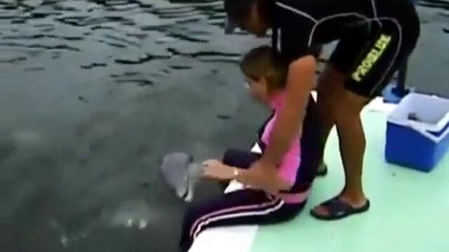 Делфин чука мацка ! :D :D :D