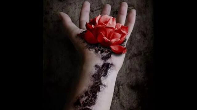 Evereve - A Winter Night Depression