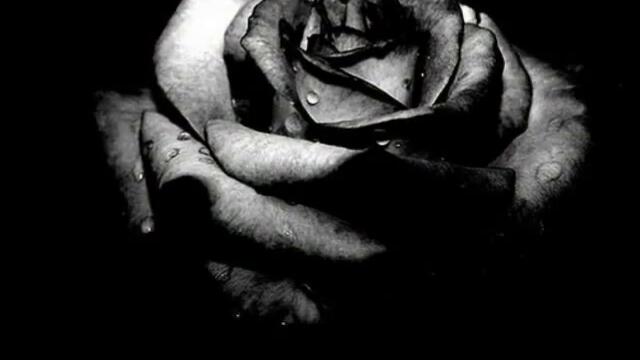 Tarja Turunen feat Schiller-Tired Of Being Alone