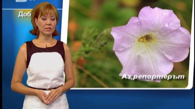 Времето - Сутрешна емисия - 24.07.2012