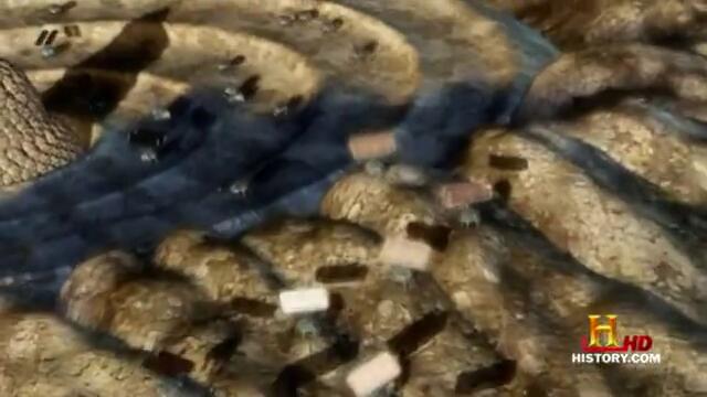 Сами ли сме във Вселената - Планета Гаялео