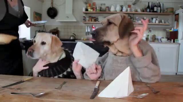 Две кучета се хранят в ресторант * Голям Смях *