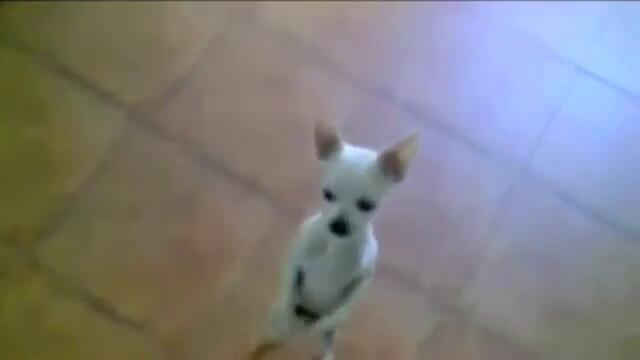 Безплатен урок по танци :DD