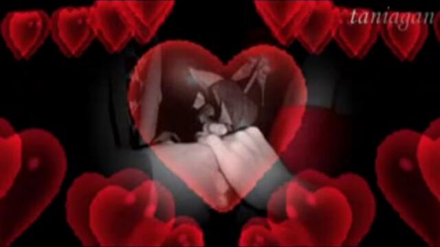 Amor-amor - Giorgos Dalaras (превод)