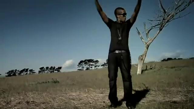 Chipmunk - Flying High