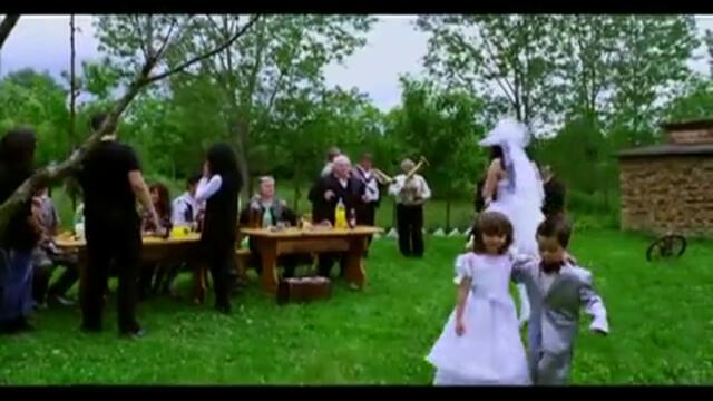 Антонина - Вишни