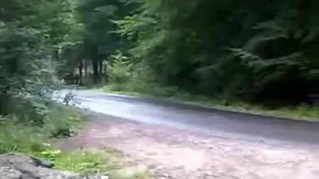 Добро овладяване на автомобил и малко късмет!