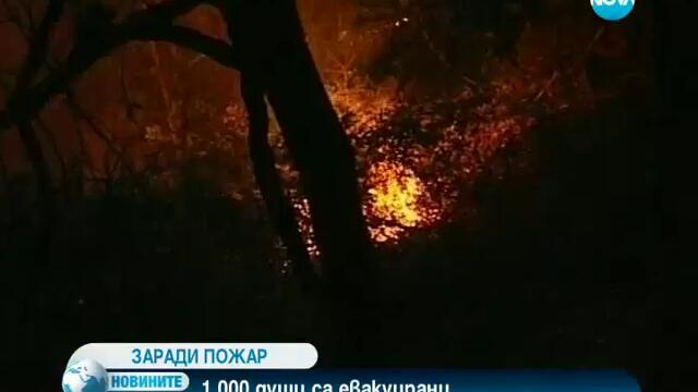 Голям горски пожар на Канарските острови е извън контрол