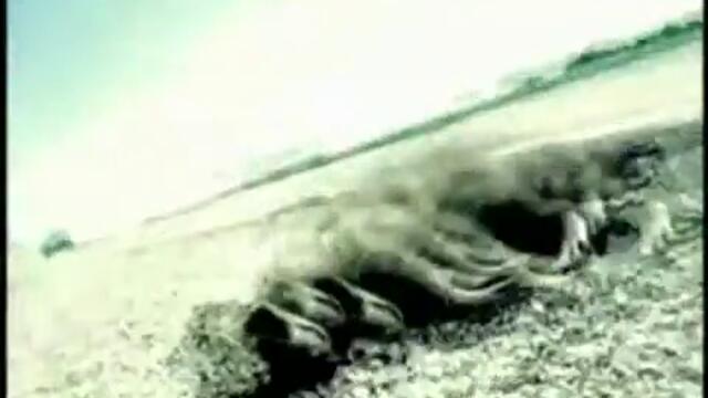 Slipknot - Psychosocial (Music Video)