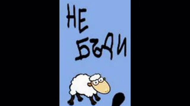 Руслан - Тъпа овца [текст]   VBOX72