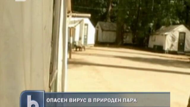 Опасен вирус в природен парк