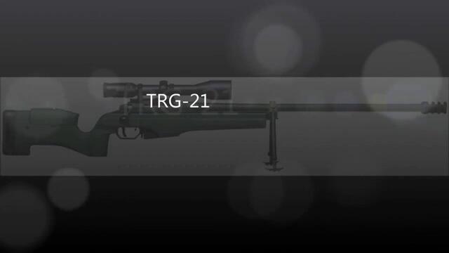 Top 10 snaiperi v sveta