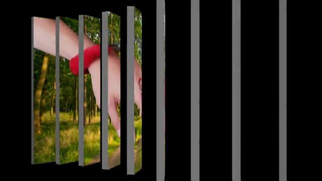 Calimeros - Die weissen Nächte von St