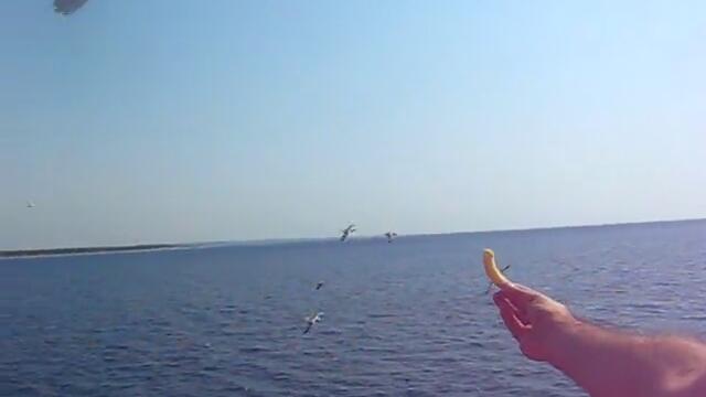 НА ПЪТ ЗА о.Тасос