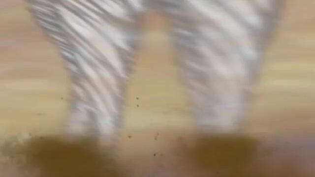 The Law Of Ueki - 06