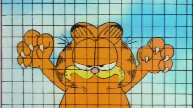 Garfield and Friends -  Screen Door