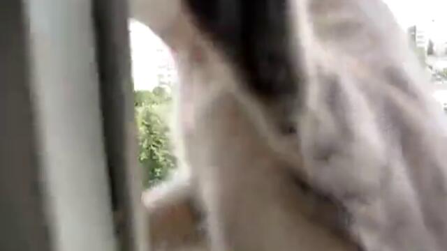 Бясна котка!!