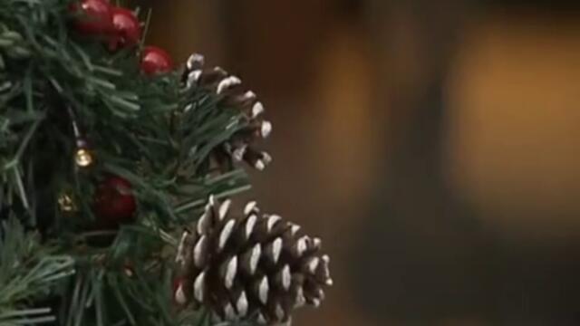 Коледна Елха от Злато - Christmas tree made ​​of gold - 2012 г.
