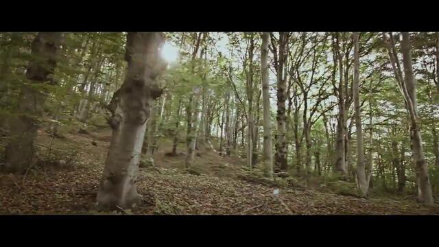 Мариета и Lexus - Jungle (Official Video)