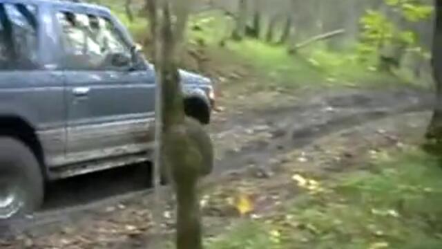 Mitsubishi Pajero offroad in the forest (Lucky)
