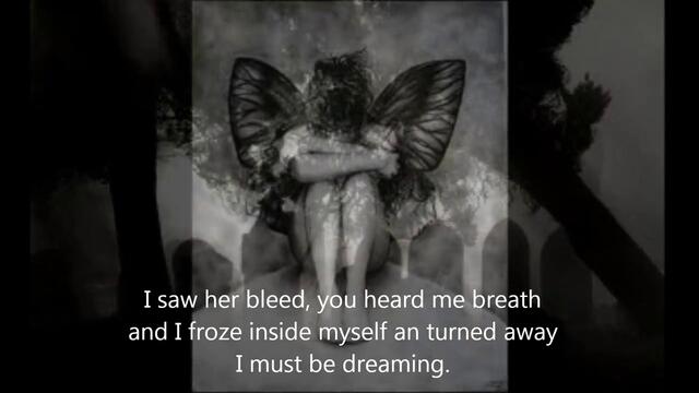Evanescence - Bleed (lyrics)