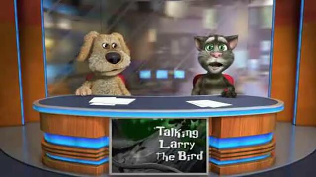 Говорещото коте Том и Бен - Телевизионни Звезди в Новините