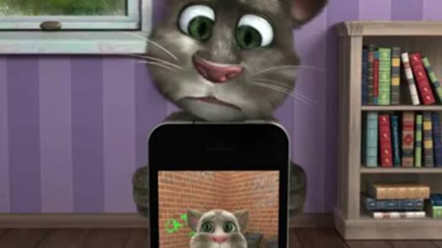Говорещото Коте е в Скайп ( Skype ) - Запознава се с нас ! :)