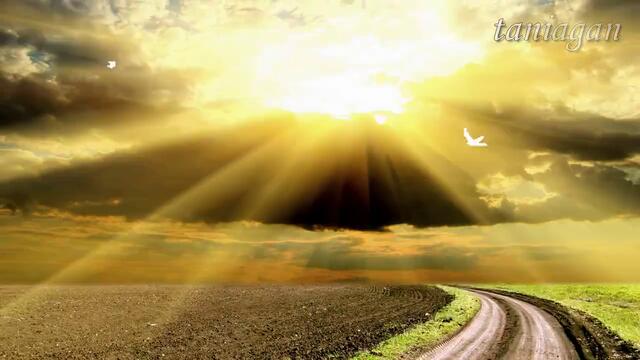 Una Paloma Blanca - George Baker Selection (превод)