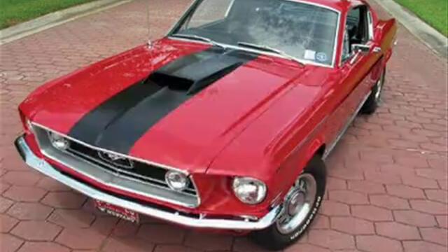 mustang