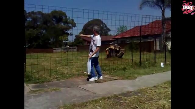 ''най-трезвената'' компилация