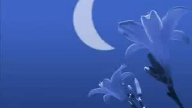 Savage Garden Truly Madly Deeply превод