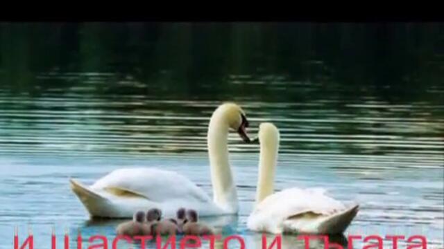 Saban Saulic - За вярващите в Любовта!