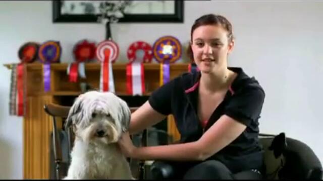 Ashleigh and Pudsey - Britains got talent