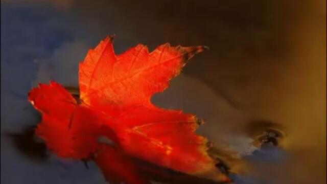 Esenta - Bratia Argirovi ( Братя Аргирови )