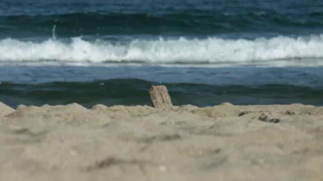 Georgi Hristov_Dali si razbrala