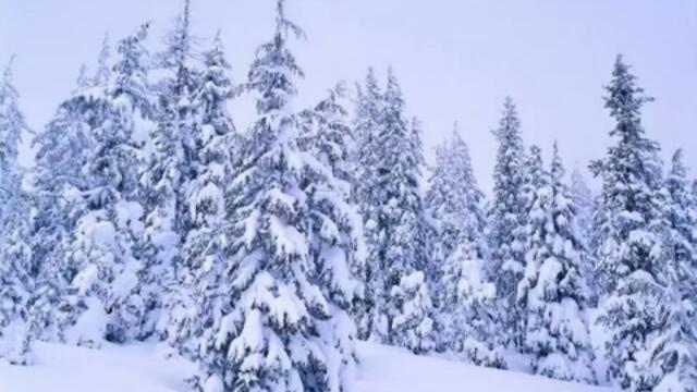 Дует - Ритон - Някога но не сега