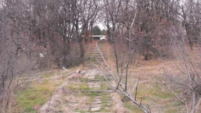 Маргарита Хранова-Дъжд заваля