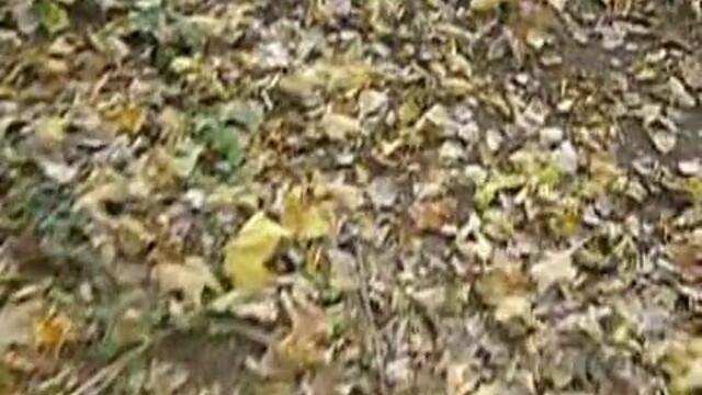 Йорданка Христова - Пред есен